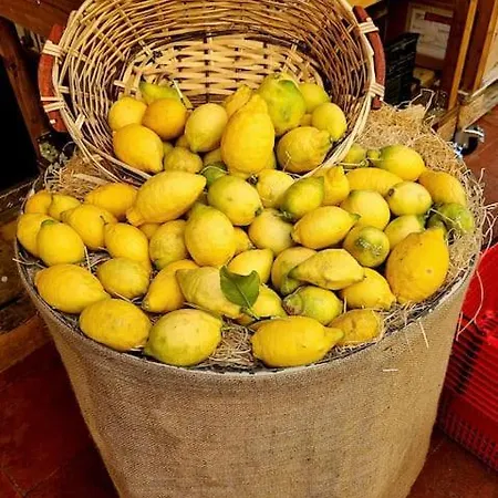 Chez L's Apartamento