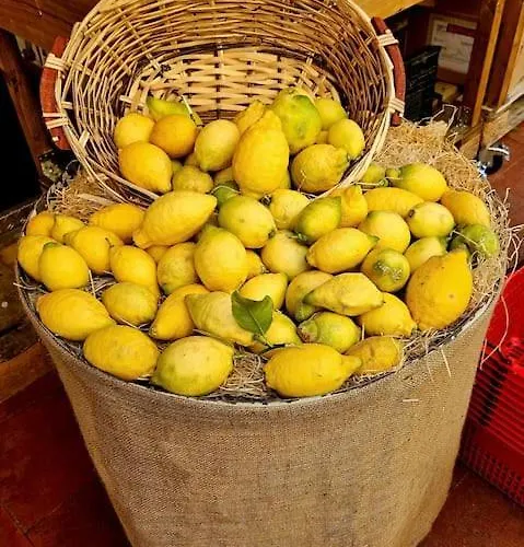 Chez L's Апартаменты