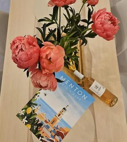 公寓 Chez L's 芒通